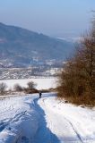 20170128-AJS_3786.jpg